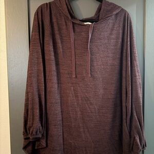 Terra & Sky Women’s Dark Maroon Hooded Sweater